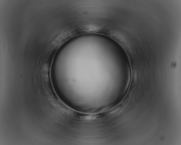 X0000091090366200708271301