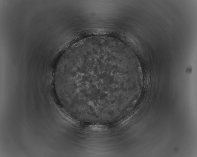 X0000091090367200708271301