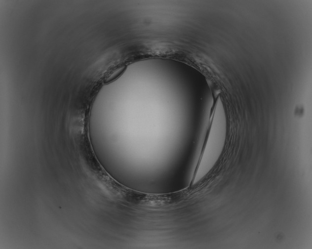 X0000091090368200708271301