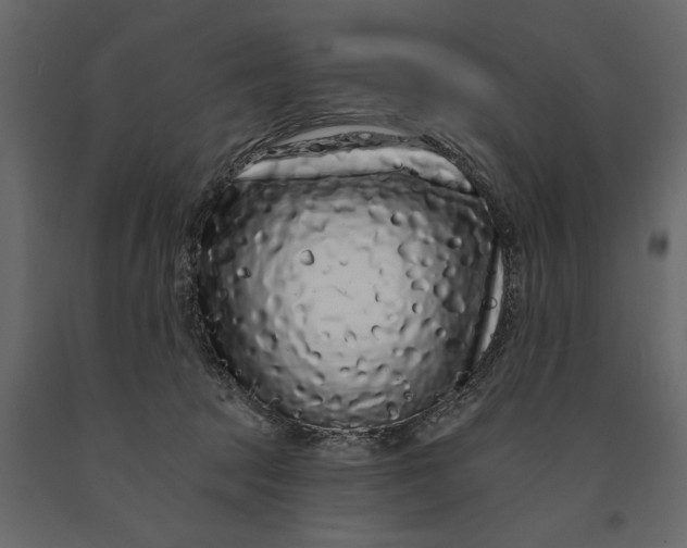 X0000091090369200708271301