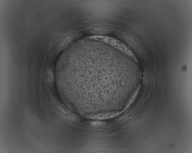 X0000091090371200708271301