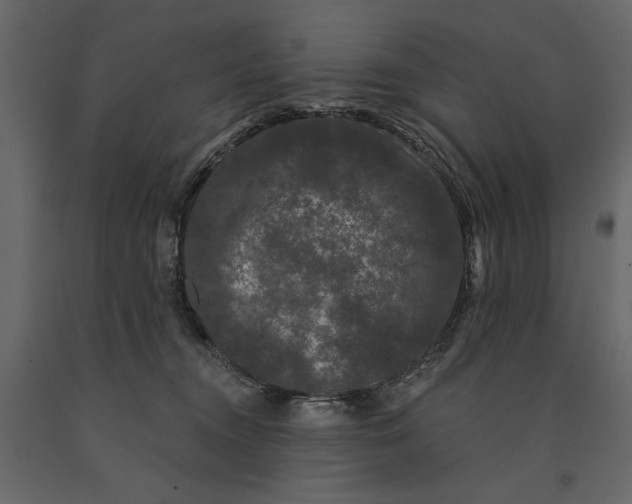 X0000091090372200708271301