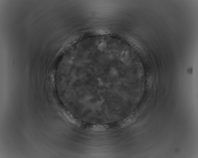 X0000091090373200708271301