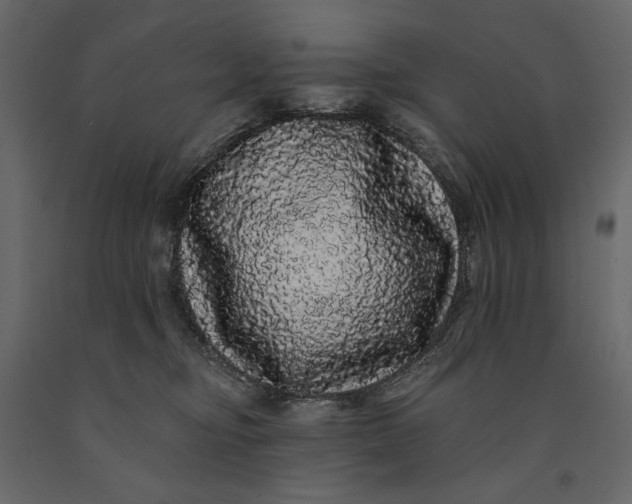 X0000091090374200708271301