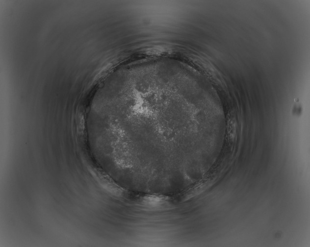 X0000091090375200708271301