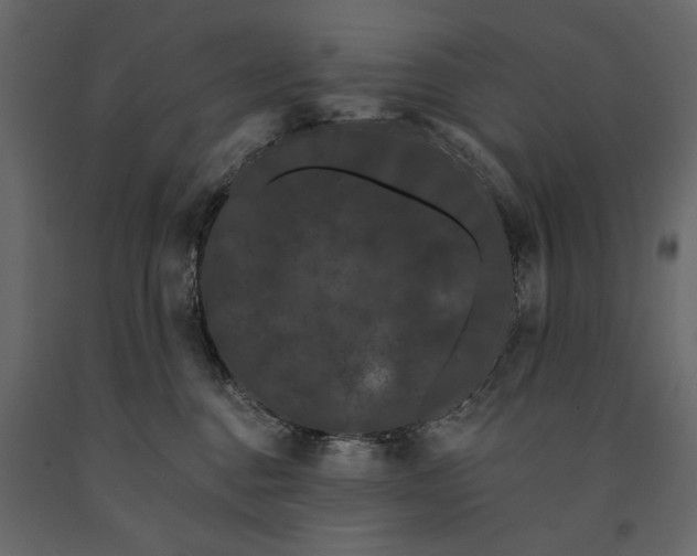 X0000091090376200708271301