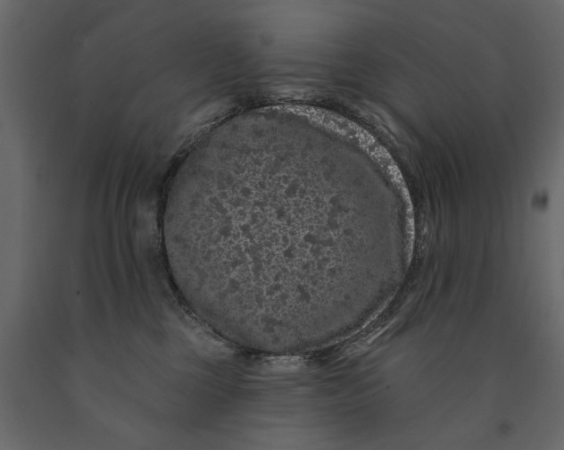 X0000091090377200708271301