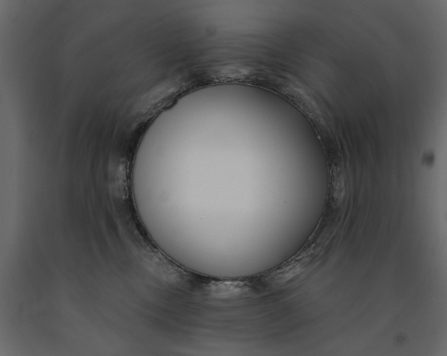 X0000091090378200708271301