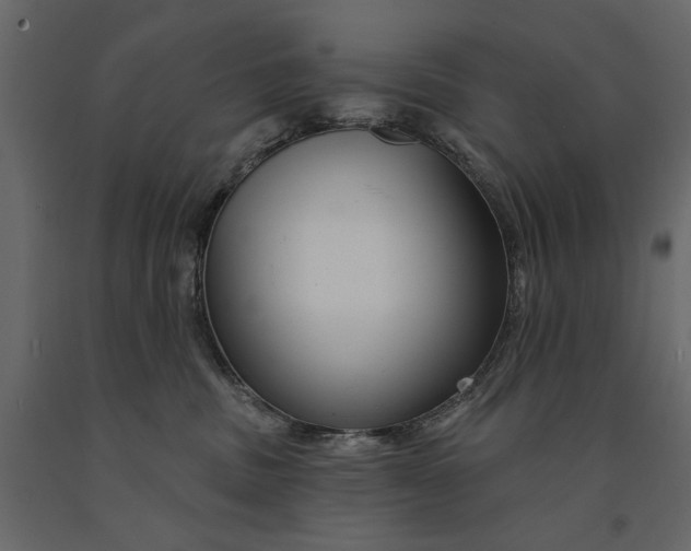 X0000091090379200708271301