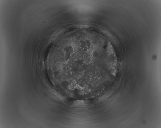 X0000091090381200708271301