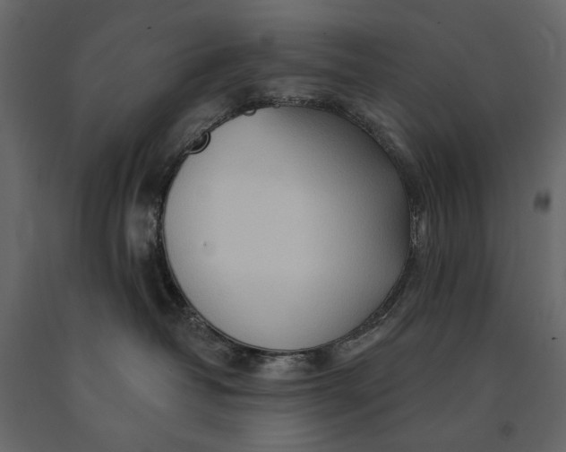 X0000091090382200708271301