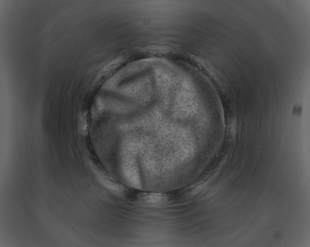 X0000091090383200708271301