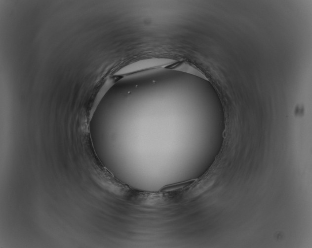 X0000091090384200708271301