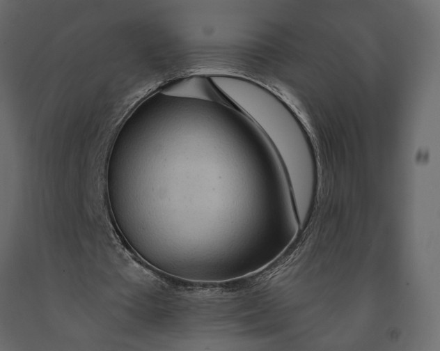 X0000091090385200708271300