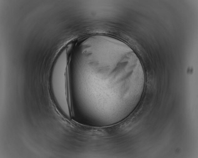 X0000091090386200708271300