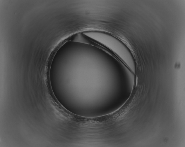 X0000091090387200708271300