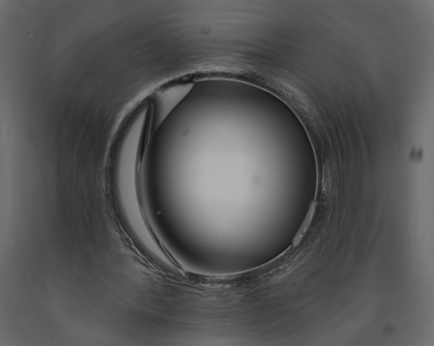 X0000091090388200708271300