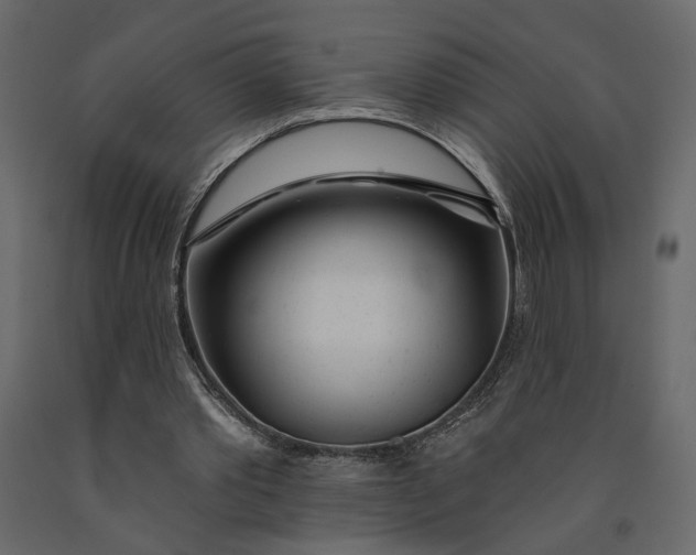 X0000091090389200708271300