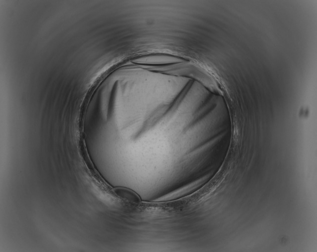 X0000091090390200708271300