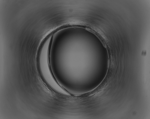 X0000091090391200708271300