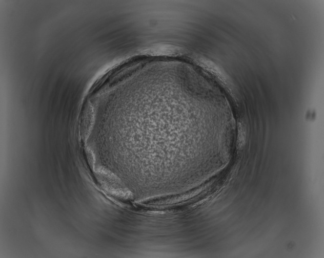 X0000091090392200708271300