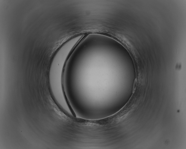 X0000091090393200708271300