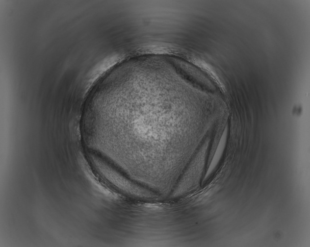 X0000091090394200708271300