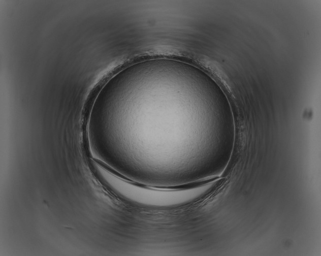 X0000091090395200708271300