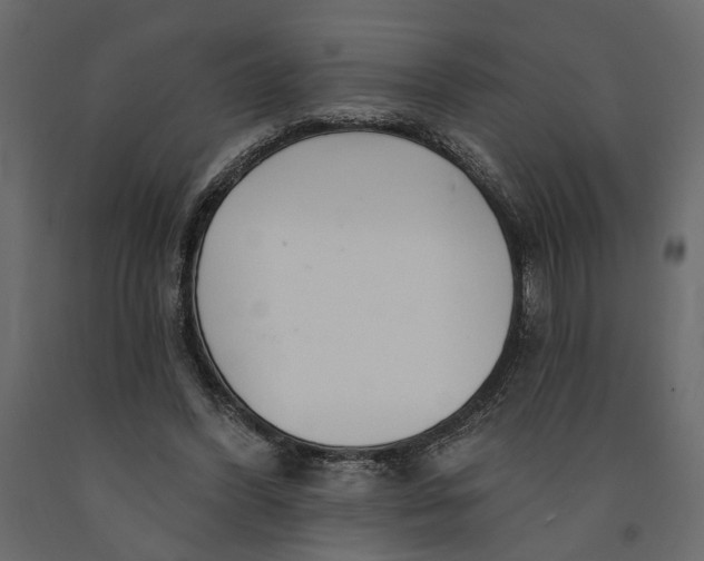 X0000091090396200708271300