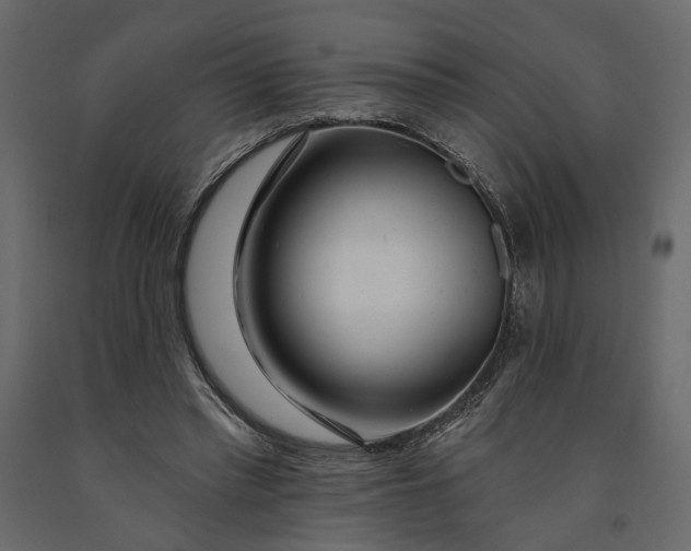 X0000091090397200708271300