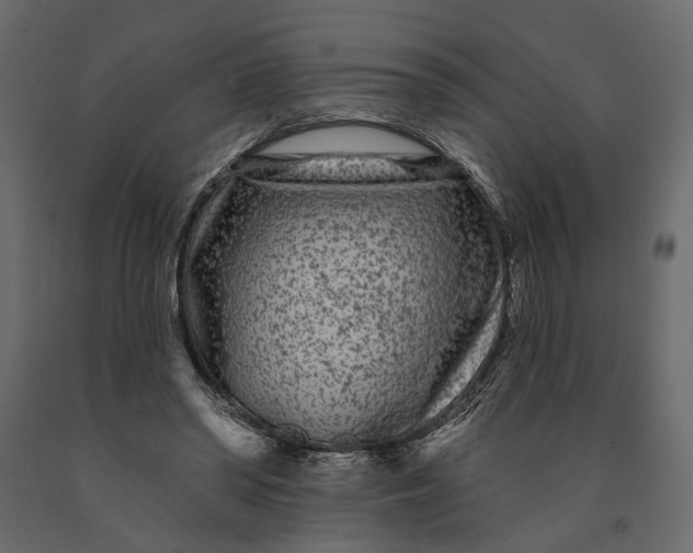 X0000091090398200708271300