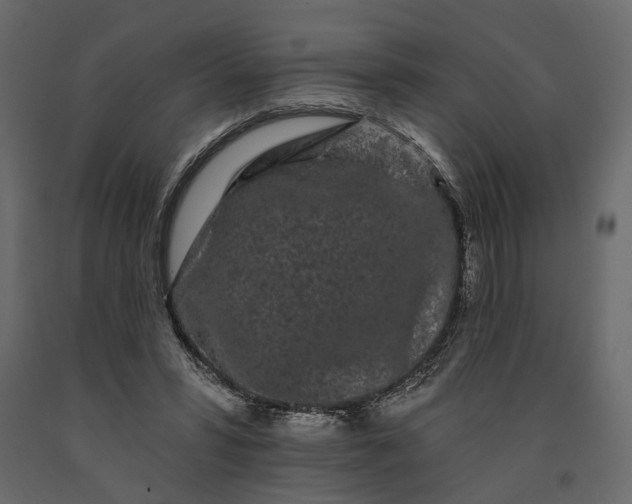 X0000091090399200708271300