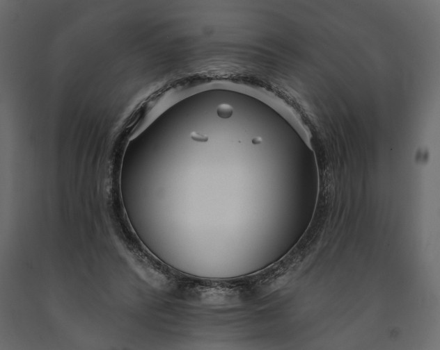 X0000091090400200708271300