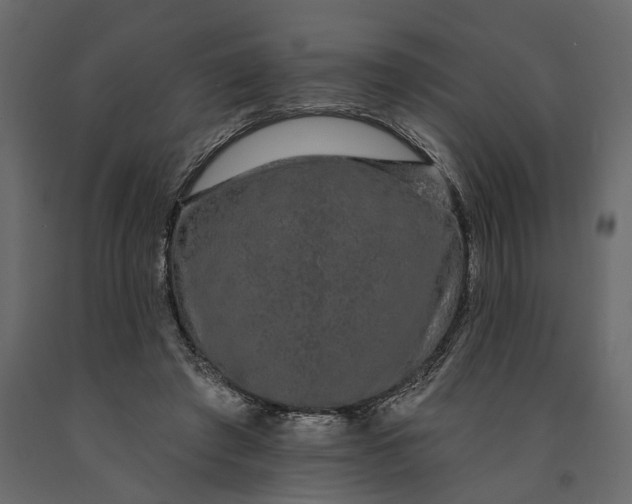 X0000091090401200708271300