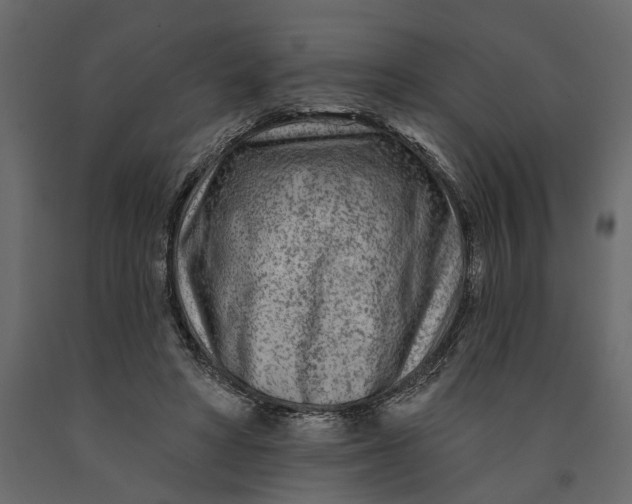 X0000091090402200708271300