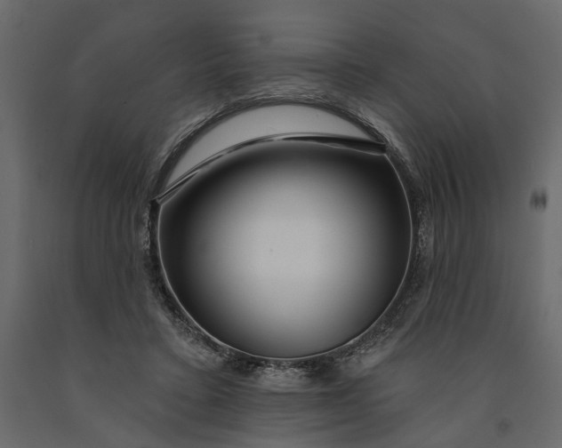 X0000091090403200708271300