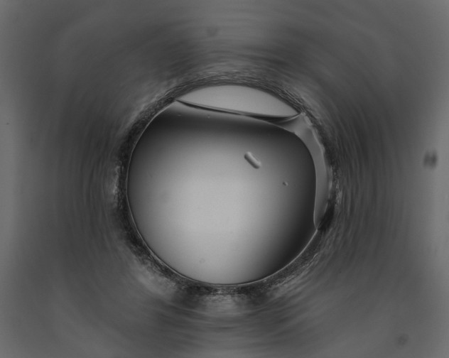 X0000091090404200708271300