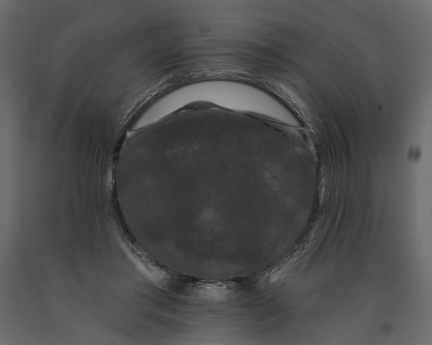 X0000091090405200708271300