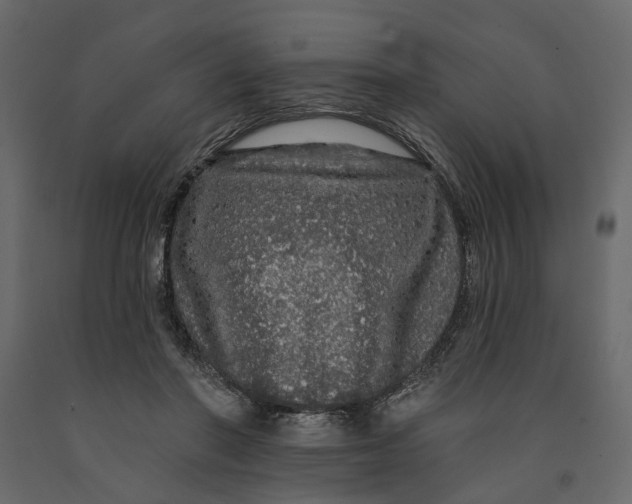 X0000091090406200708271300