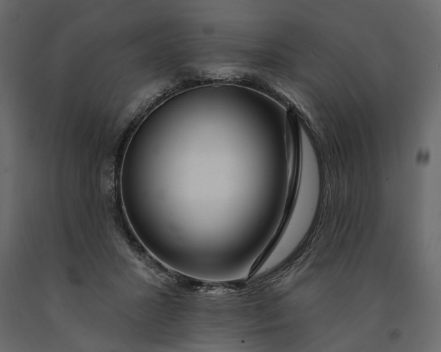 X0000091090407200708271300