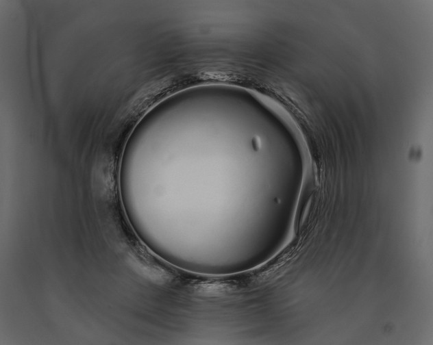 X0000091090408200708271300