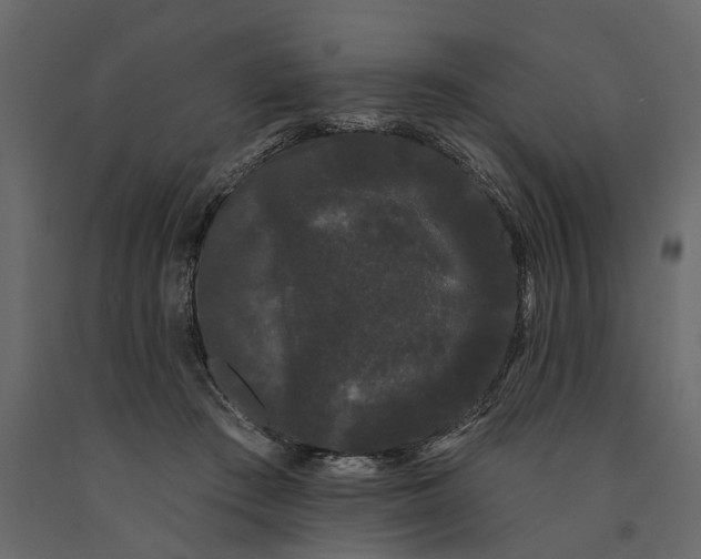 X0000091090409200708271300