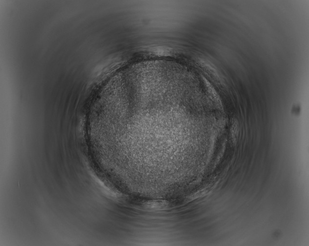 X0000091090410200708271300