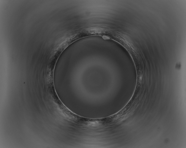 X0000091090411200708271300