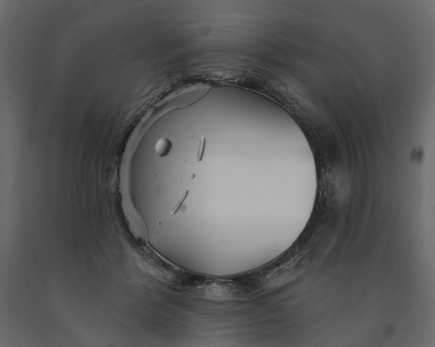 X0000091090412200708271300