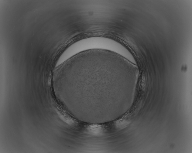 X0000091090413200708271300