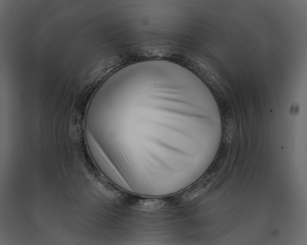 X0000091090414200708271300