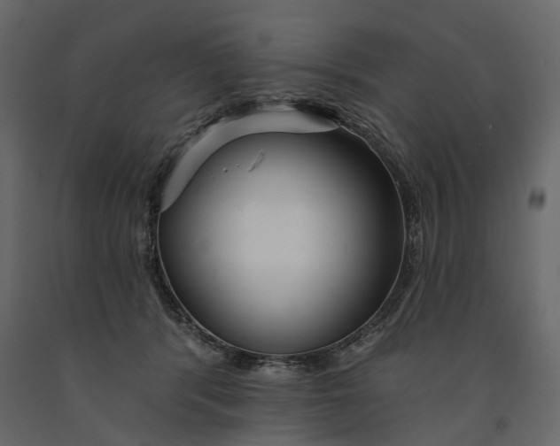 X0000091090416200708271300