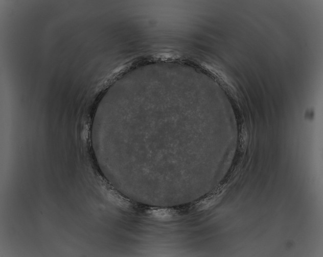 X0000091090417200708271300