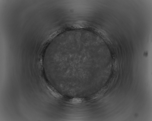 X0000091090418200708271300